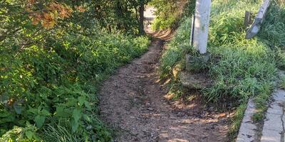Olifantenpad langs de Mellebrug