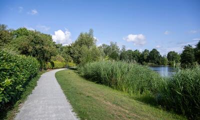 Trage wegen Dendermonde